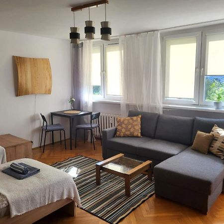 Lemuria Pokoje Wlk Niedzwiedzicy Hostel Legnica Buitenkant foto